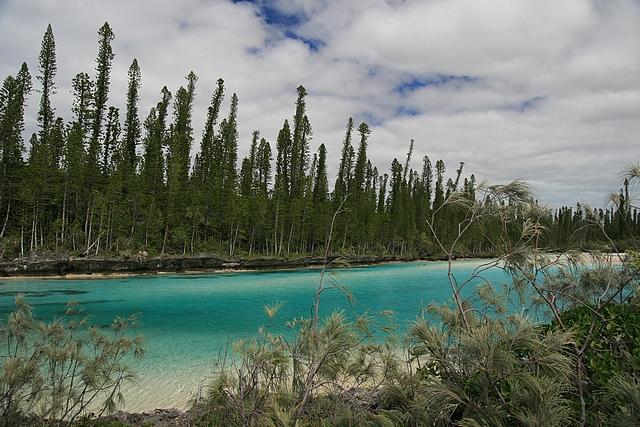 Oro-ile des pins (2).jpg